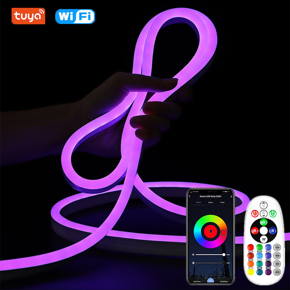 Outdoor Lighting Uk - 투야(Tuya) Wi-Fi/블루투스/리모컨 제어 220V 네온 LED