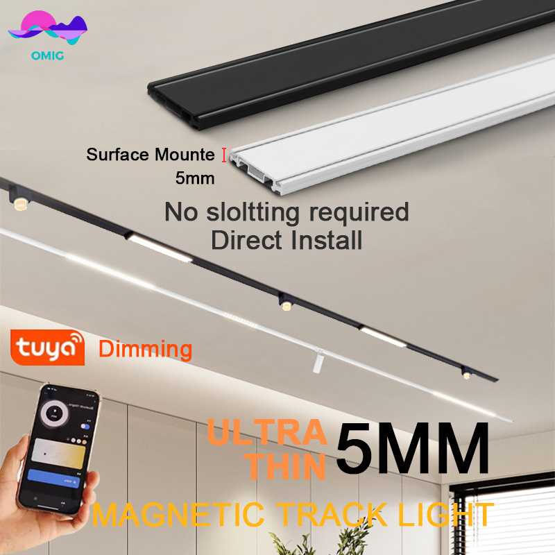 Outdoor Lighting Track - 스마트 마그넷 트랙 레일 조명 홈